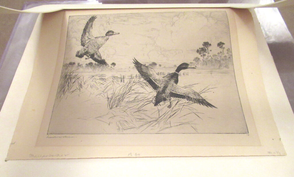 American Artist Frank Benson Pencil Signed Etching “Mallards No. 2 ...