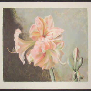 American Artist Henriette Wyeth Pencil Signed Lithograph, "Lilies"