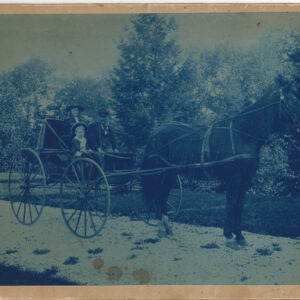 Original Cyanotype Photograph of Horse and Buggy